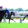 「日本での騎乗にいつも感謝」レーン騎手が東京３ＲのワディアルリヤハでＪＲＡ通算２００勝達成　現役５７人目