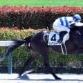 芝で頭打ち→初ダートで激変した素質馬に「やはり走った」「一発回答」　東京６Ｒのヒシアムルーズが快勝