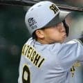 阪神　上空７メートルの強風にドラフト１位・立石の大飛球が押し戻される　左翼の井上はフェンス際まで下がって、猛ダッシュで前進