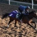 土曜京都競馬場の注目激走馬…京都１１Ｒ葵ステークス・Ｇ３