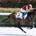 ２０日死去の萩原清調教師の元管理馬で東京８Ｒを勝利　武藤雅騎手「先生に恩返しができた」