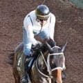 【葵Ｓ】函館２歳Ｓ勝ち馬で２番人気のエイシンディードは６着　重賞２勝目ならず