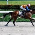 【JRA・WIN5】本日のWIN5は的中1477票、配当25万490円