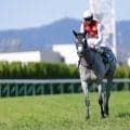 ラリージャパンで衝撃クラッシュ マシン前半分がコース外転落でストップ…首位猛追のトヨタ24歳に悲劇