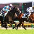 【初めてのダービー５】２０２２年レジェンドの勝利への熱意...ドウデュース世代の水納愛美記者～スポーツ紙・夕刊紙８紙特別企画～
