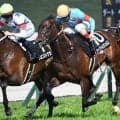 【目黒記念予想】長距離戦は大型馬には不向きな条件!? 様々な面で経験不足を感じる軽視すべき一頭