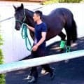 【日本ダービー・土曜気配】ロブチェン陣営「体はいい意味でパッツンパッツン」　２冠へ万全の仕上がり