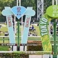 【アハルテケS】テーオーパスワードが4馬身差圧勝