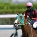 【鳳雛S】ホリエモン愛馬・イッテラッシャイが逃げ切りV…連勝でオープン初勝利