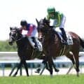 【京都5R】サトノアグードが断然の支持に応える