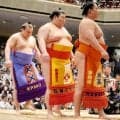 大関陥落の安青錦が復帰「なかなか２２歳でこんな経験しない」ケガで全休も前向く「後悔ばかり考えても意味がない」【大相撲】