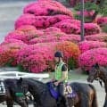 【日本ダービー】単勝１番人気はロブチェンの２・９倍でやや抜けた人気　リアライズシリウスが６・２倍、ゴーイントゥスカイが７・１倍