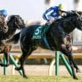 【AI予想・日本ダービー】前走惜敗も能力の高さは証明！ 3戦3勝の左回りで大逆転をもくろむ人工知能の本命馬