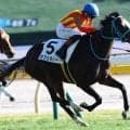 名牝ジェンティルドンナの初孫 カフェラバーが自己条件で2勝目狙う