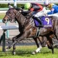 霜降り明星・粗品の日本ダービー本命はライヒスアドラー 3連複で勝負だ