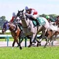 【葵Ｓ】芦毛のデアヴェローチェが重賞初制覇　父マテラスカイに初ＪＲＡタイトルをプレゼント