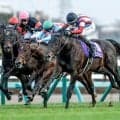 【今日の注目ポイント】競馬の祭典・日本ダービーと目黒記念