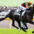 日本ダービーは人気馬が堅実か 皐月賞組に注目だ