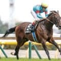 【目黒記念予想】ダービーの余韻残る長距離ハンデ戦 持久力勝負の2500m舞台