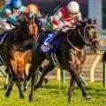 甥は三冠馬コントレイル トラッドロアがデビュー戦だ