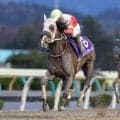 【東北優駿】女王セイクリスティーナが二冠へ、牡馬勢との激突に注目