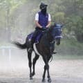 【日本ダービー】馬トク外厩情報…皐月賞を使わなかったことが武器　“外厩帰りのフレッシュな伏兵”が浮上
