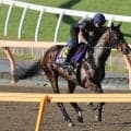 日曜東京競馬場の注目激走馬…東京１１Ｒ日本ダービー・Ｇ１
