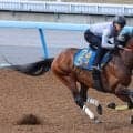 日曜東京競馬場最終レースの注目激走馬…東京１２Ｒ目黒記念・Ｇ２