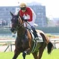【日本ダービー】武豊騎手のゴーイントゥスカイは外から追い込むも４着　歴代最多７勝目＆史上最年長ダービージョッキーは来年以降に