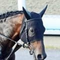 【日本ダービー】あと一歩...４番人気のパントルナイーフは頭差２着　皐月賞１４着から巻き返すもＶならず