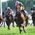【JRA・WIN5】ダービーデーのWIN5は的中3618票、配当16万2030円