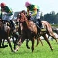【安土城S結果】骨折休養明けのエコロブルームが復活V 24年ニュージーランドT覇者