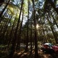 WRCラリージャパン：現行ラリー1車両ターマック戦 最後の勝者はエバンス。勝田貴元は悔しい4位