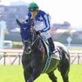 【日本ダービー】リアライズシリウスは７着　津村明秀騎手が強気な競馬みせるも最後は失速　過去２戦２勝の東京で初黒星