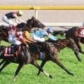 【目黒記念】川田将雅騎手騎乗のダノンシーマは３着　２度目の挑戦で重賞初制覇はならず