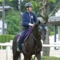 【宝塚記念】どれを買えばいいの！　ボーナスがかかるクロワデュノールと有馬記念を勝ったミュージアムマイル、レガレイラなど１８頭が登録