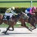 【薫風S】メイショウハチローが勝負根性を発揮！ゴール前差し返してオープン入り