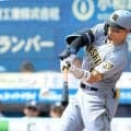 阪神・佐藤輝　５月無安打は４試合のみ　月間打率・３６３でＭＶＰ有力　１３試合連続安打、自己最長にあと１
