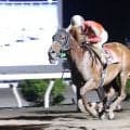 【高知・丸山台特別】ベルリネッタが差し切りV！人気馬撃破で準重賞初制覇
