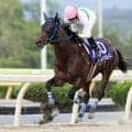 【水沢・東北優駿】レジェンドバローズ完勝！石川倭「世代トップレベル」…牝馬セイクリスティーナを撃破