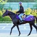 【Ｇ１・１週前まとめ】重賞連勝中のトロヴァトーレ、直線でしっかりと負荷をかけられ活気十分　鹿戸調教師も充実ぶりを実感　安田記念