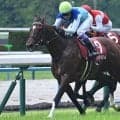 春のマイル王決定戦・安田記念 2歳新馬戦もスタート/今週の競馬界の見どころ
