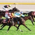 【目黒記念】さらなる飛躍は間違いなし！レーン騎手「いい勝ち方」ファイアンクランツが重賞初制覇