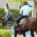 【Ｇ１・１週前まとめ】ワールズエンド、日曜にしっかり負荷　Ｇ１初挑戦に向けて好ムード　安田記念