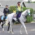 【安田記念・坂本の特注馬】古豪健在の７歳馬ガイアフォース　得意の東京マイルなら信頼度大