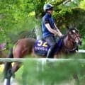 【安田記念】武豊騎手騎乗のアドマイヤズームは週末追い切って不安なし　陣営「カイバ食いはちゃんと戻っています」