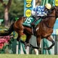 【先週のJRA抹消馬】24年のサマーマイル王者トゥードジボン、23年の札幌2歳S覇者セットアップなど