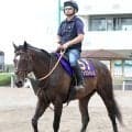 【安田記念】シックスペンスは転厩２戦目で復活Ｖ狙う　田中博調教師「前走は思ったより走れていた」