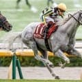【安田記念想定騎手】ガイアフォースは横山武史騎手、トロヴァトーレはC.ルメール騎手