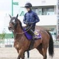 【安田記念・高野が見た】田中博調教師「Ｇ１の舞台で活躍させたい子」レーベンスティールは今度こその思い　